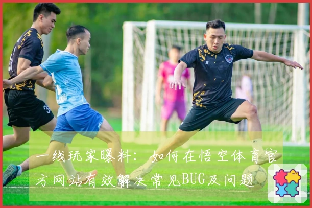 一线玩家曝料：如何在悟空体育官方网站有效解决常见BUG及问题