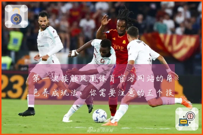 第一次接触凤凰体育官方网站的角色养成玩法，你需要注意的五个技巧