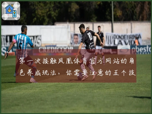 第一次接触凤凰体育官方网站的角色养成玩法，你需要注意的五个技巧